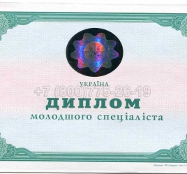 Диплом Техникума Украины 2013г в Череповце